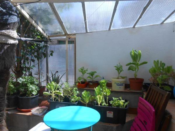 Maison Palmeral Coustaussa Eksteriør bilde
